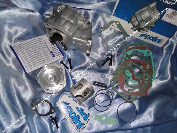 kit polini rotax 122 123