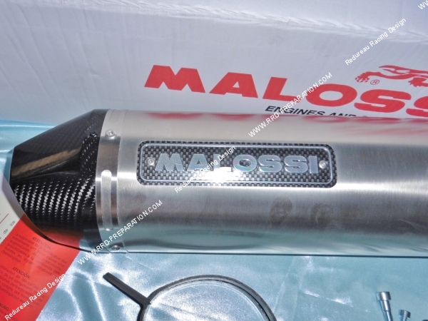 Photo du silencieux MALOSSI MAXI WILD LION pour Maxi-Scooter BMW C 600 ie 4T avant 2015