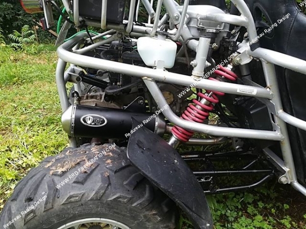 buggy pgo 250cc