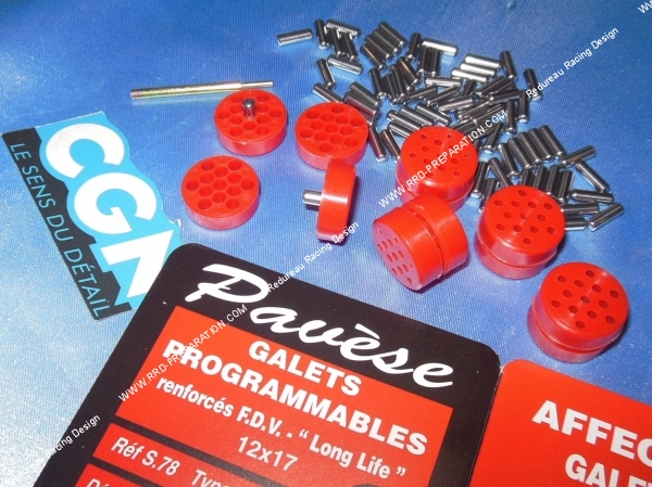 vue Kit de 6 galets, rouleaux PAVESE by CGN en Ø17X12mm avec aiguilles, programmable aux choix