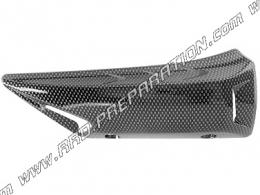 Hide/lid of exhaust TNT TUNING color carbon for maximum-scooter YAMAHA T-MAX 500cc 2008 to 2012