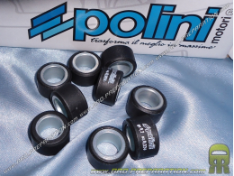 Set of 9 POLINI rollers in Ø20X12mm grammage of your choice