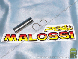 Eje Ø12 X 0,8 X 38mm + clips C para MALOSSI MHR , TEAM, REPLICA... kits hierro fundido / aluminio