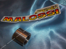 MALOSSI exhaust reduction...