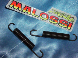 Springs of muffler / crutch...