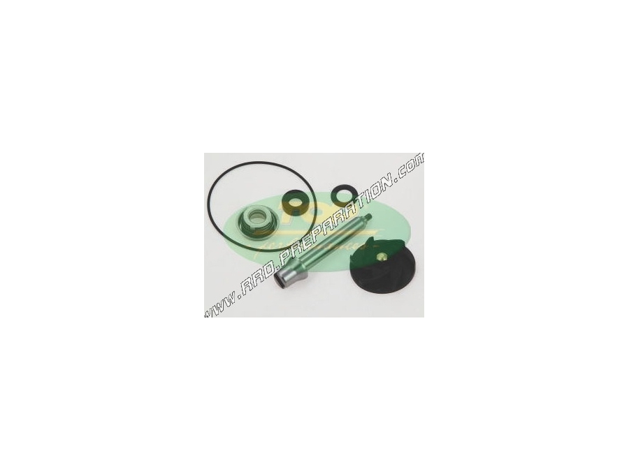 Complete water pump repair kit TOP PERFORMANCES maxi-scooter Piaggio 500cc Euro3