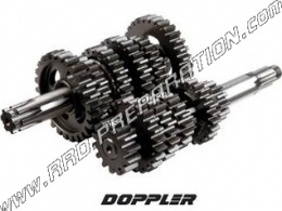 DOPPLER gearbox for mécaboite engine DERBI euro 1, 2 & 3