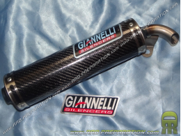 Silencer, cartridge for exhaust GIANNELLI SHOT V4 colors of your choice
