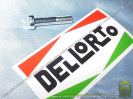 Collar screw for SHA DELLORTO carburettor