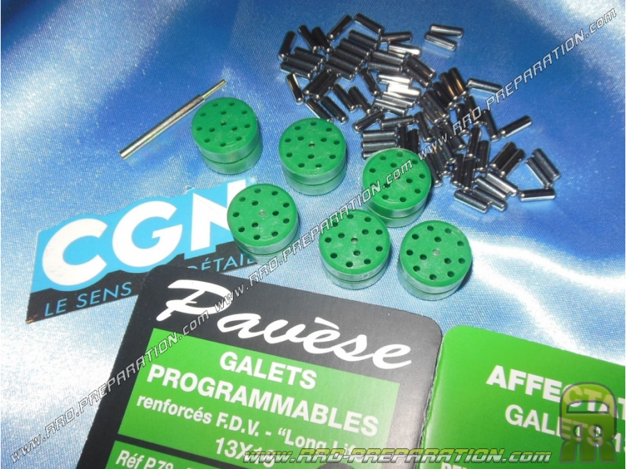 Kit de 6 rodillos, rodillos PAVESE de CGN en Ø16X13mm con agujas, programables a voluntad