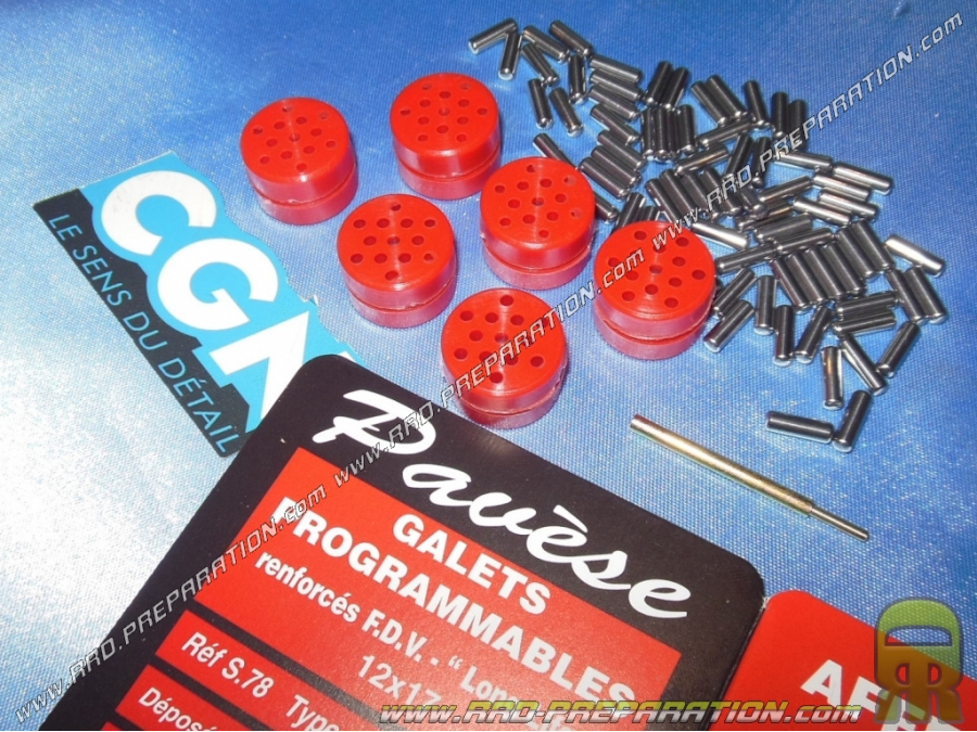 Kit de 6 rodillos, rodillos PAVESE de CGN en Ø17X12mm con agujas, programables a gusto