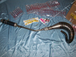 Muffler MALOSSI MHR...