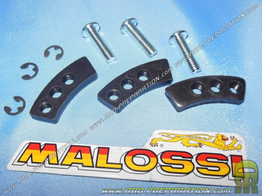 Set of 3 complete fixing sectors for MALOSSI DELTA CLUTCH clutch on Peugeot, Piaggio, Minarelli vertical scooter...