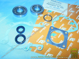 Reinforced bearing kit + oil seals + ARTEIN high engine seals ... on PEUGEOT BUXI, ELYSEO, TREKKER, SPEEDFIGHT ...