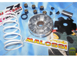 Italjet Variator Malossi Multivar Italjet Formula 50 Malaguti Crosser 50 Malossi 517128 