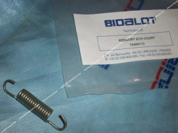Exhaust spring BIDALOT...
