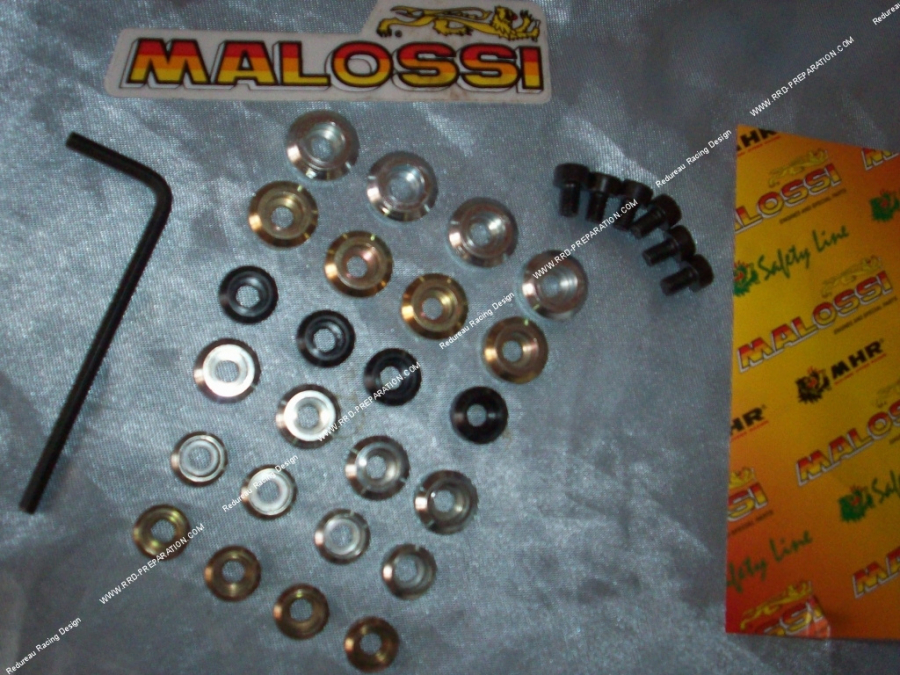 Kit de 6 jeux de masses, contrepoids, masselottes MALOSSI pour variateur