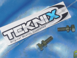 Jeu de 2 vis auto-cassantes Ø6 x 13mm TEKNIX pour contacteur à clef (neiman) type YAMAHA, MBK, ...