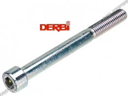 Motor shaft screw DERBI M10X100