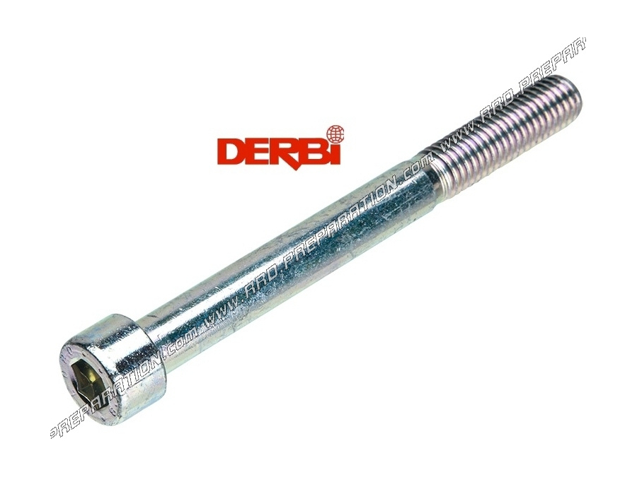 Motor shaft screw DERBI M10X100