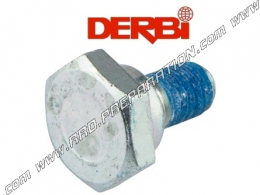 Boulon de levier d'axe de sélecteur DERBI pour DERBI 50cc et 125cc