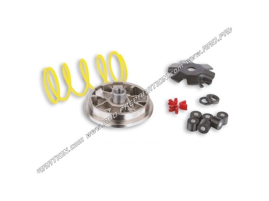 Variador MALOSSI MULTIVAR para QUAD/ATV DINLI HELIX DL-603 y E-TON VIPER RXL 90cc 2T