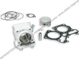 Kit 175cc MALOSSI Ø61mm aluminium pour HONDA SH 150cc, KEEWAY OUTLOOK 150cc, BENELLI CAFFèNERO 150cc...