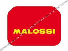 Filtre à air MALOSSI double red sponge (mousse double couche) pour SUZUKI BURGMAN 400