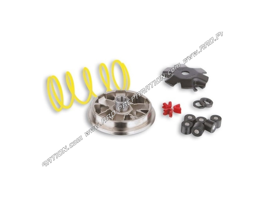 Variator MALOSSI MULTIVAR (variator, thrust spring ...) for SCOOTER PGO BIG MAX 50cc