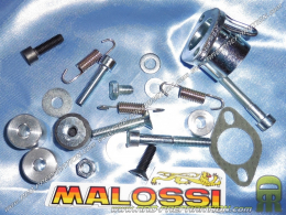 Juego de tornillos MALOSSI para escape MALOSSI MHR BIG BORE, TEAM en motor MINARELLI Horizontal (nitro, ovetto,...)