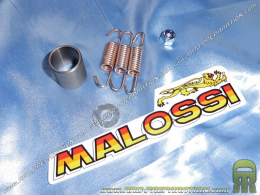 Juego de tornillería MALOSSI para escape MALOSSI MHR GP 80 en PEUGEOT XR6 y MOTORHISPANIA RX