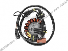 TNT ORIGINAL ignition stator for PIAGGIO , APRILIA , VESPA, DERBI , PEUGEOT , GILERA 250 and 300cc scooters