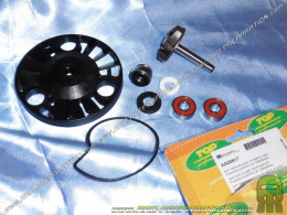 Complete Repair Kit water pump TOP PERFORMANCES maxi-scooter Piaggio / Aprilia 125 / 200cc