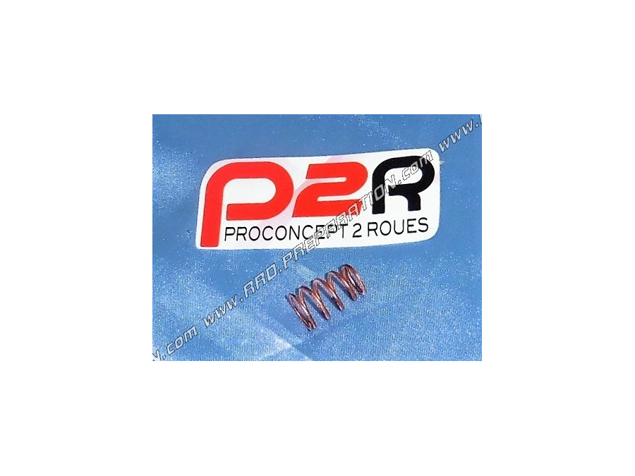 Ressort de maintien du thermostat d'eau P2R pour APRILIA RS, AF1, EUROPA, PEGASO, ... Moteur ROTAX 122 & 123