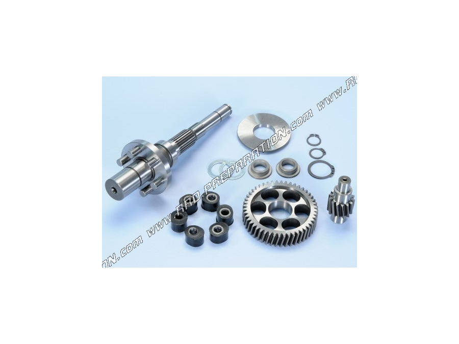 Carter Transmission Piaggio NRG Typhoon Zip - POLINI Gear Box Evo Axe 12mm  /// en Stock sur BIXESS™