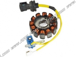 Stator type origine pour allumage de PIAGGIO 125 moteur LEADER ( 12 poles)