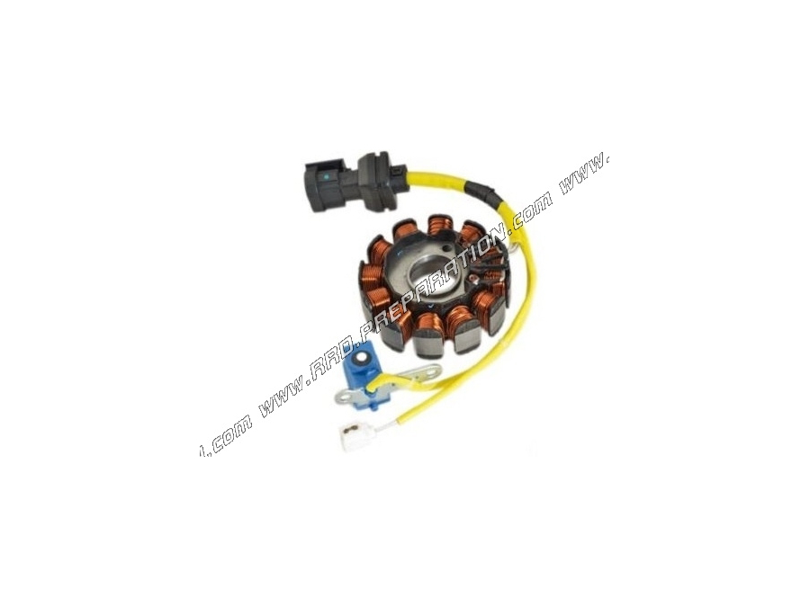 Stator type origine pour allumage de PIAGGIO 125 moteur LEADER ( 12 poles)