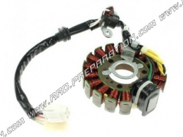 Stator type origine pour allumage de 125 MBK SKYLINER et de 125 YAMAHA X-MAX