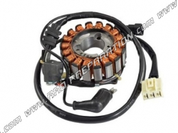 Stator type origine pour allumage de 125 / 300 PIAGGIO VESPA GTS DE 2009 à 2013 et MP3 YURBAN 2011 à 2012