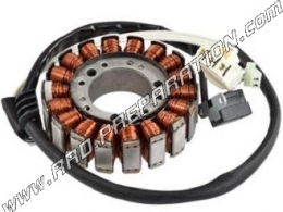 TEKNIX ORIGINAL ignition stator for YAMAHA T MAX 500 from 2001 to 2003