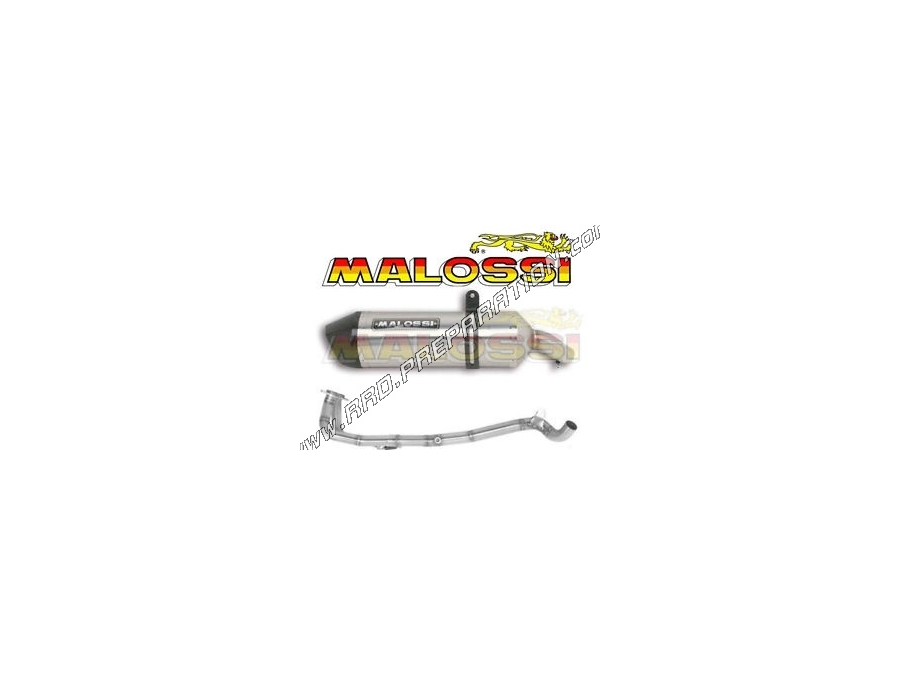Línea de escape completa MALOSSI MAXI WILD LION para Maxi-Scooter de 20120 a 2015