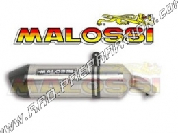 Muffler MALOSSI MAXI WILD LION for Maxi-scooters BMW C 650 GT ie from 2012 to 2015