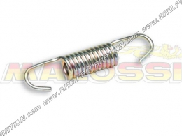 Exhaust spring MALOSSI MHR BIG BORE 3 length of 60mm