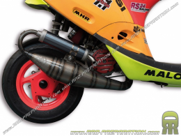 Pot d'échappement MALOSSI MHR BIG BORE Ø52mm pour scooter PIAGGIO / GILERA (Typhoon, nrg...)