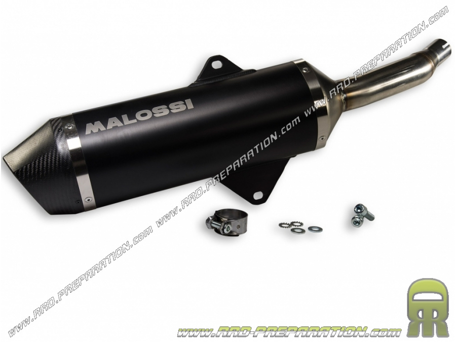 Escape MALOSSI WILD LION para Maxi-Scooter YAMAHA X MAX y MBK EVOLIS 400cc ie 4T LC