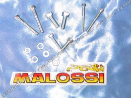 Fasteners for lighting MALOSSI MHR TEAM SELETTRA by internal rotor mécaboite minarelli am6, DERBI euro 1, 2 and 3