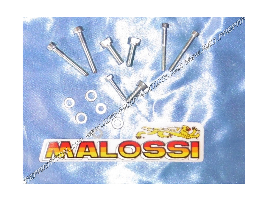 Fasteners for lighting MALOSSI MHR TEAM SELETTRA by internal rotor mécaboite minarelli am6, DERBI euro 1, 2 and 3