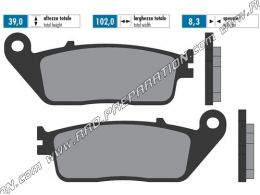 Pastillas de freno delanteras / traseras POLINI para BMW C 600, C 650, KYMCO PEOPLE, PEUGEOT GEOPOLIS, SATELIS 250, 400, 500...