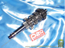 Axis / P2R primary gearbox shaft for mécaboite minarelli am6