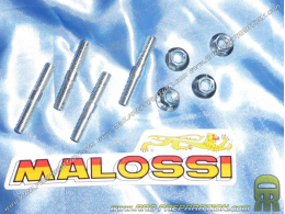 Set of 4 studs for MALOSSI 94cc kit on PIAGGIO Liquid scooter (NRG, RUNNER...)